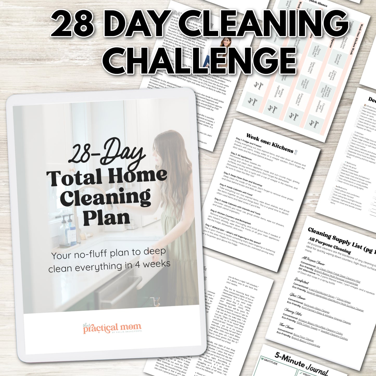 28 Day Cleaning Challenge