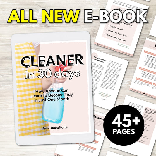 Cleaner in 30 Days E-Book
