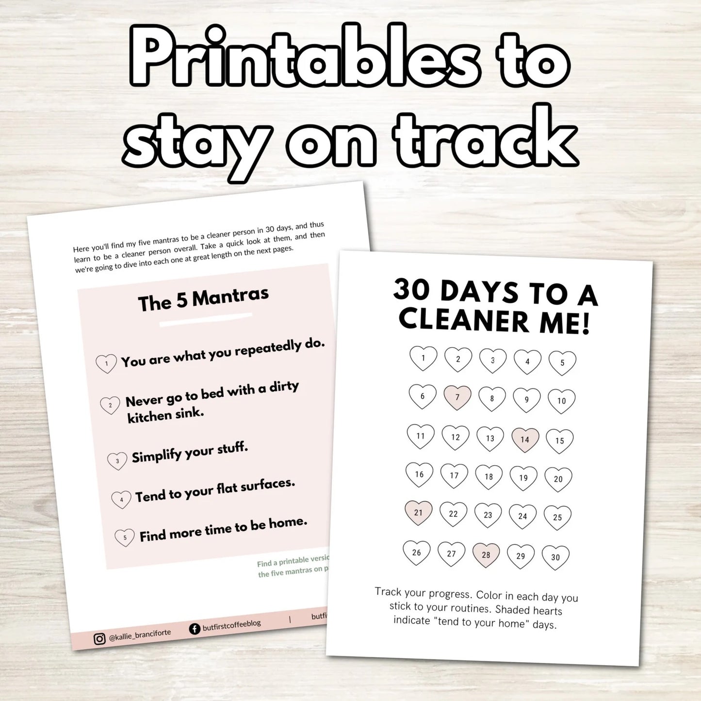 Cleaner in 30 Days E-Book